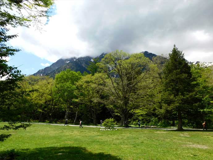 _xAO䍂x