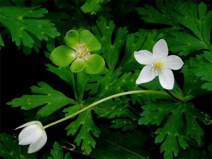 �j�����\�E