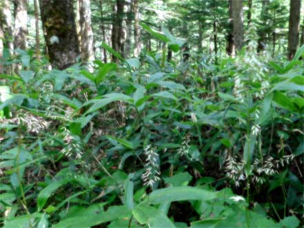 �J�j�R�E����