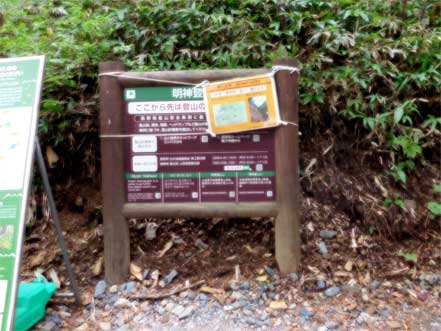 ���{������