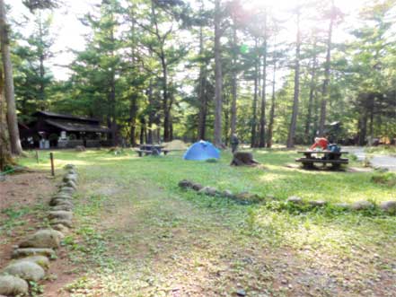 �������L�����v��