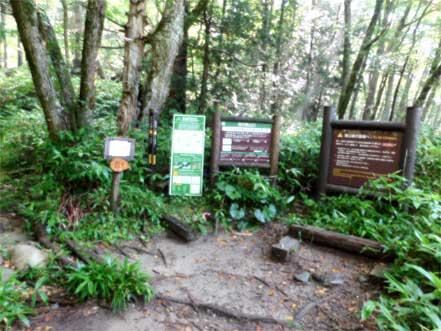 �x��o�R��