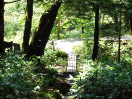 �x��o�R��