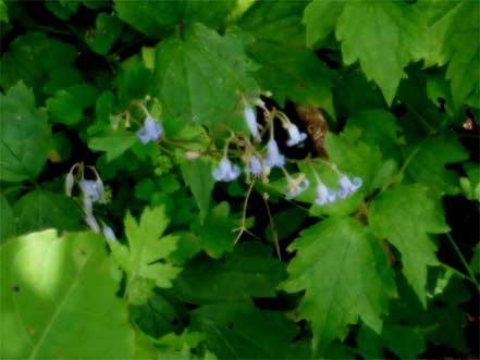 �N�T�{�^��