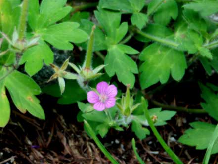 �^�`�t�E��