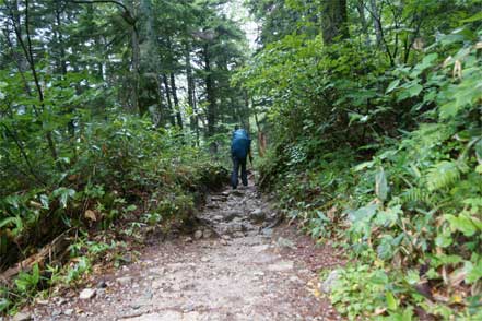 登山道