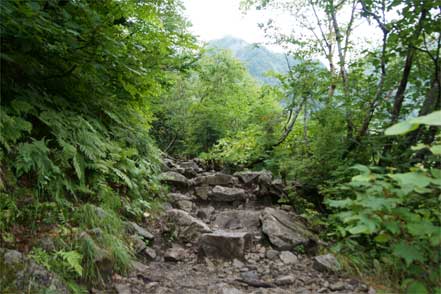 登山道