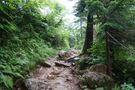 登山道