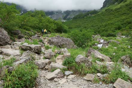 登山道