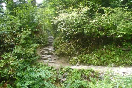 登山道