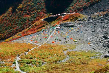 涸沢ヒュッテ、テント場を俯瞰