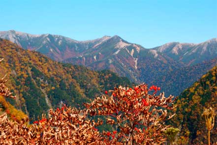 東天井岳、横通岳方向