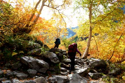 登山道