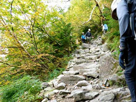 登山道