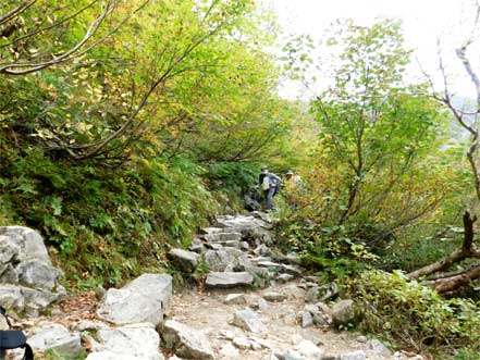 登山道