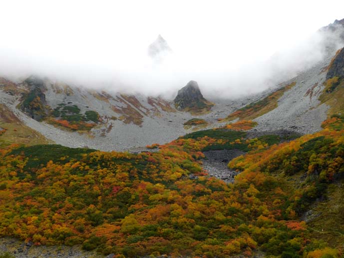 涸沢