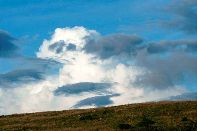 犬雲