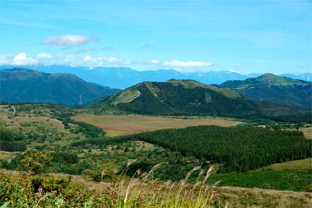 八島ヶ原湿原