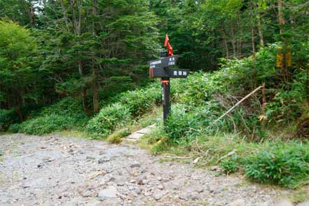 林道から登山道へ