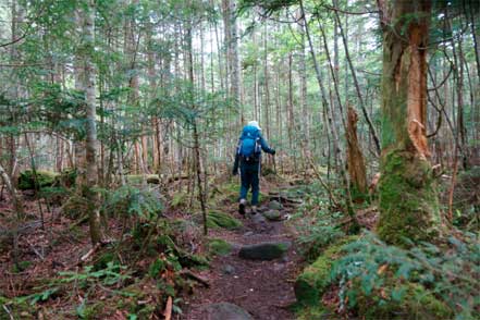 登山道