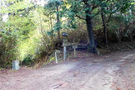 女人道分岐