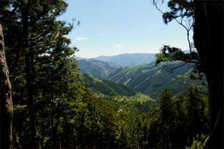 水ヶ峰集落跡から