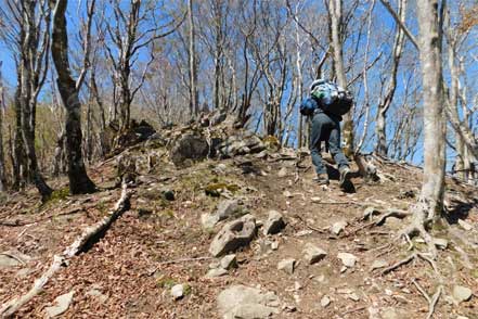 伯母子岳登山道