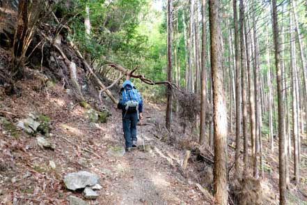 小辺路