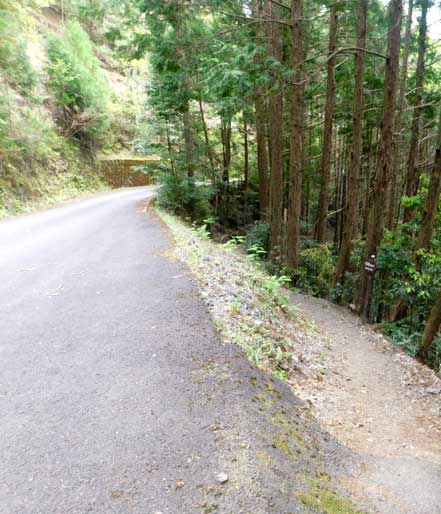 小辺路登山口