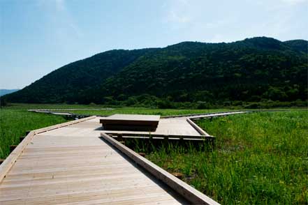 タデ原湿原