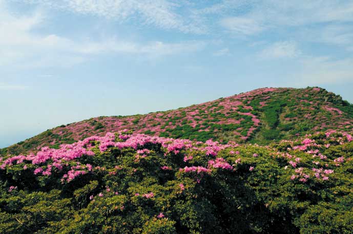 平治岳頂上