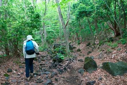 登山道