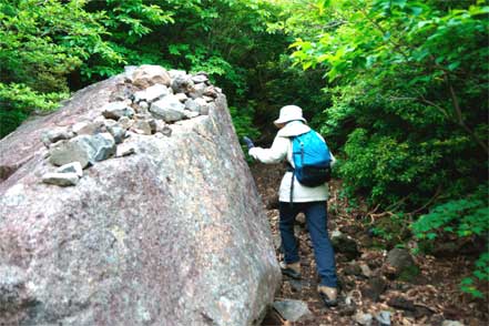 登山道