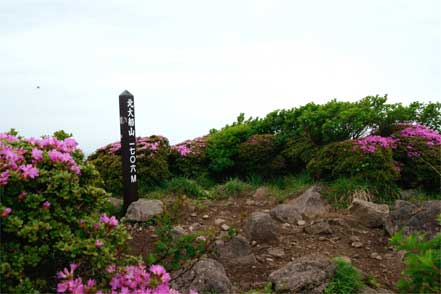 北大船山頂上