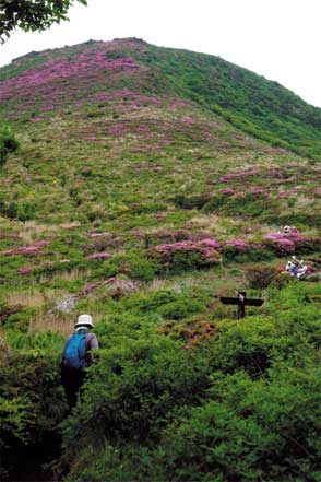 大戸越から平治岳