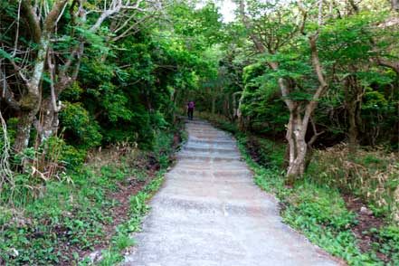 凸凹舗装の登山道