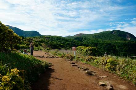 登山道