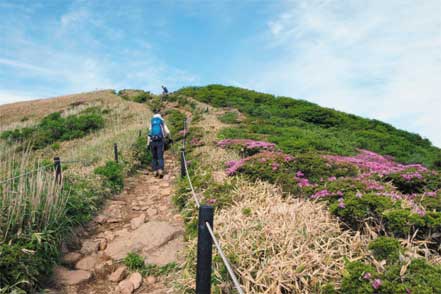 登山道