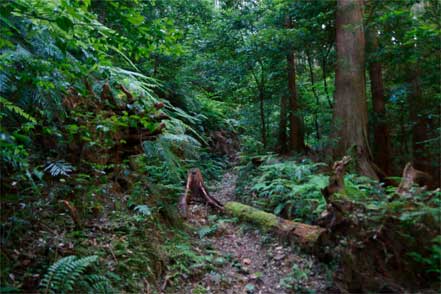 中女鬼峠