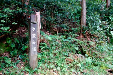 水飲み場