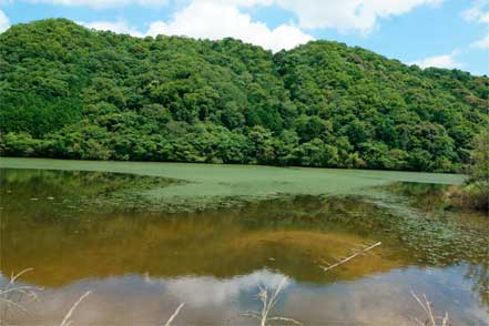 栃ヶ池