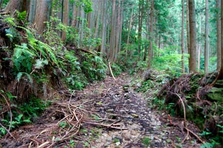 三瀬坂道