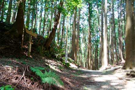 三瀬坂峠