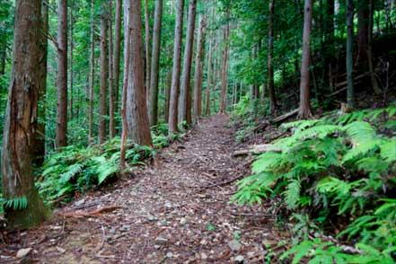 横垣峠道