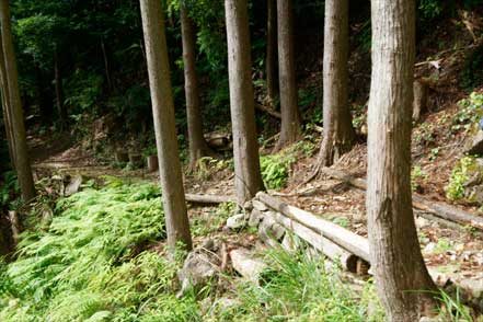 横垣峠道