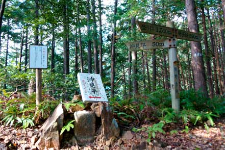 沖見平分岐