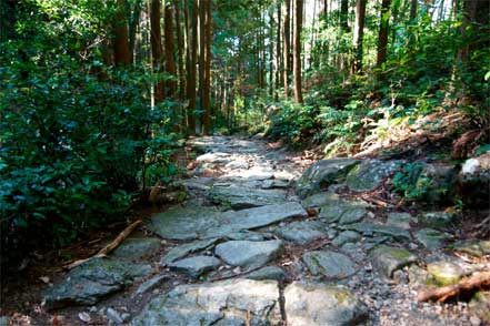 桜地蔵付近の石畳