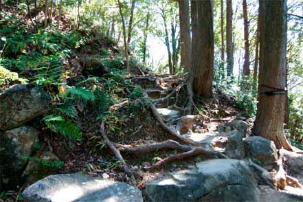 登山道