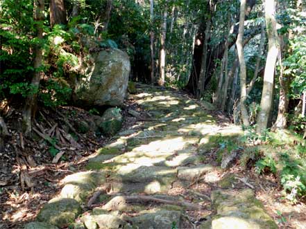 波田須の道