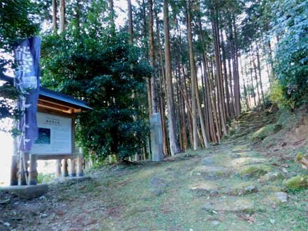 波田須の道